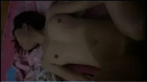 姊妹飞机春卷 义安省